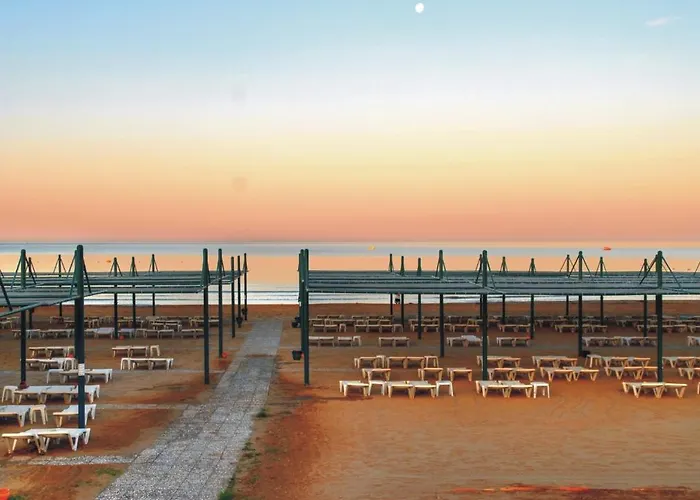 Oleander マナウガト