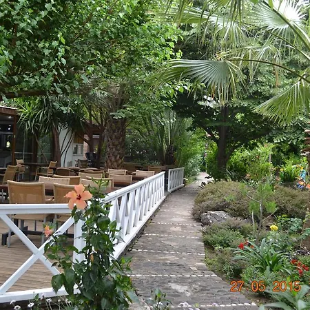 Oleander Manavgat